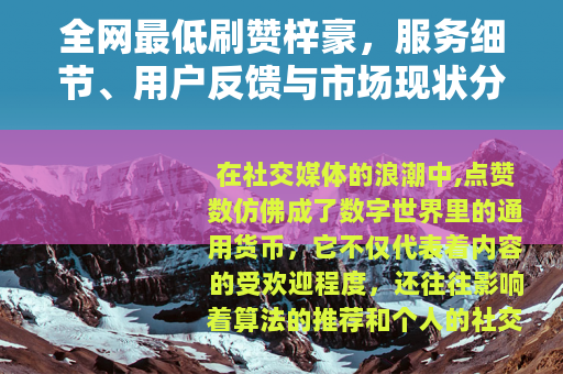 全网最低刷赞梓豪，服务细节、用户反馈与市场现状分析