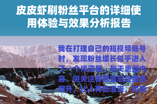 皮皮虾刷粉丝平台的详细使用体验与效果分析报告