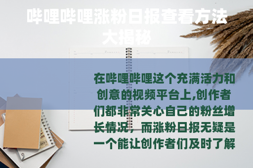 哔哩哔哩涨粉日报查看方法大揭秘