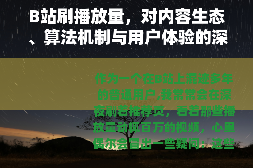 B站刷播放量，对内容生态、算法机制与用户体验的深度观察