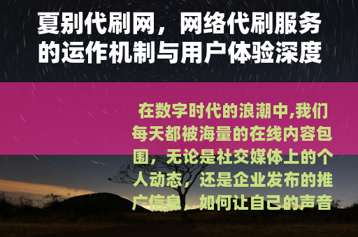 夏别代刷网，网络代刷服务的运作机制与用户体验深度分析