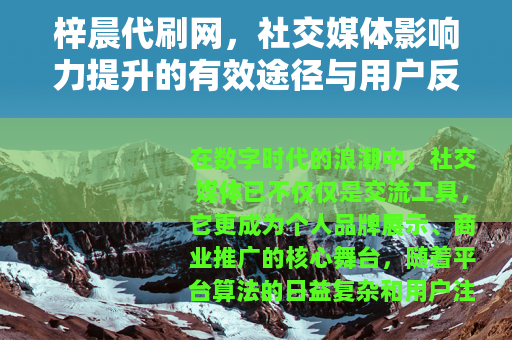梓晨代刷网，社交媒体影响力提升的有效途径与用户反馈