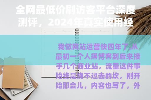 全网最低价刷访客平台深度测评，2024年真实使用经验分享