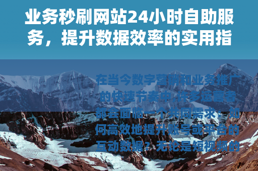 业务秒刷网站24小时自助服务，提升数据效率的实用指南
