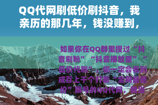 QQ代网刷低价刷抖音，我亲历的那几年，钱没赚到，账号全废了