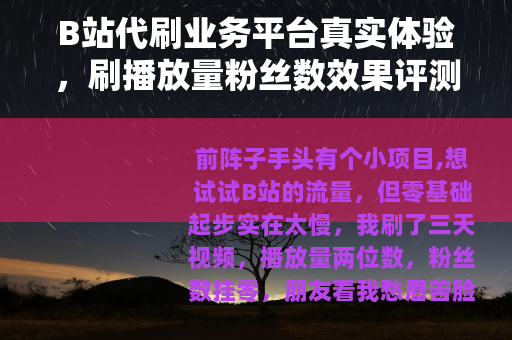 B站代刷业务平台真实体验，刷播放量粉丝数效果评测