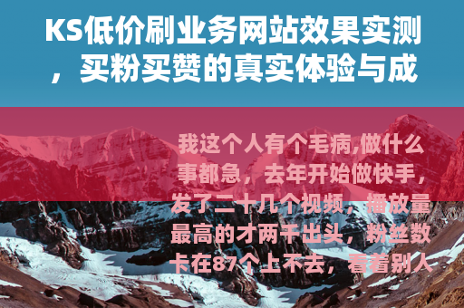 KS低价刷业务网站效果实测，买粉买赞的真实体验与成本分析