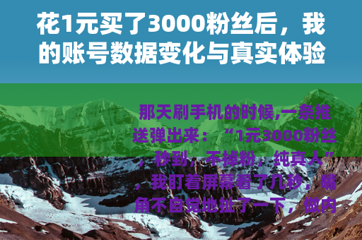 花1元买了3000粉丝后，我的账号数据变化与真实体验分享