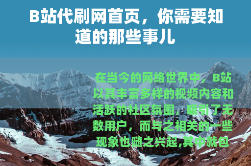 B站代刷网首页，你需要知道的那些事儿