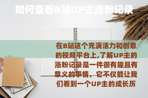 如何查看B站UP主涨粉记录