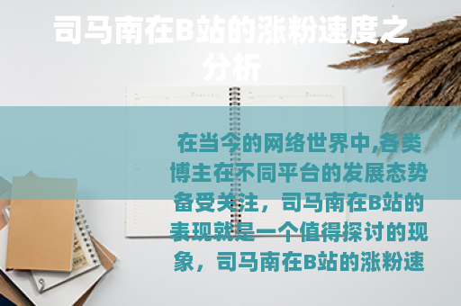 司马南在B站的涨粉速度之分析