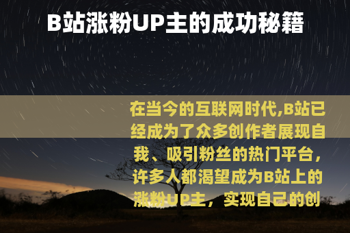 B站涨粉UP主的成功秘籍