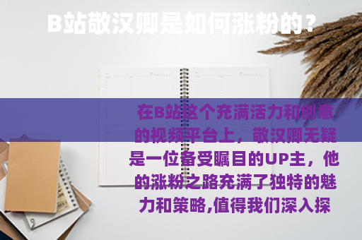 B站敬汉卿是如何涨粉的？