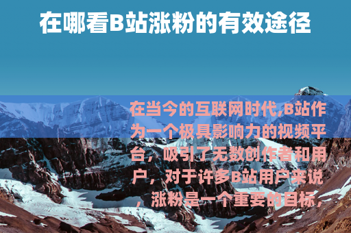 在哪看B站涨粉的有效途径