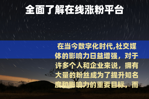 全面了解在线涨粉平台