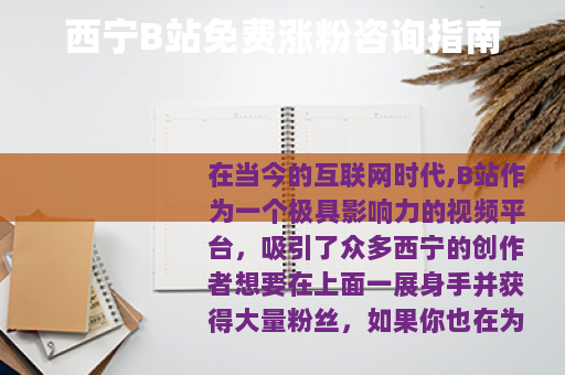 西宁B站免费涨粉咨询指南