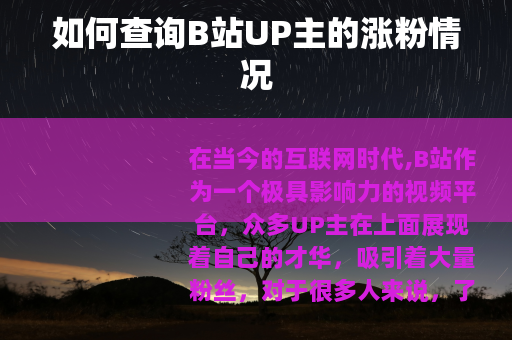 如何查询B站UP主的涨粉情况