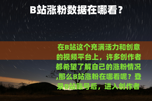 B站涨粉数据在哪看？
