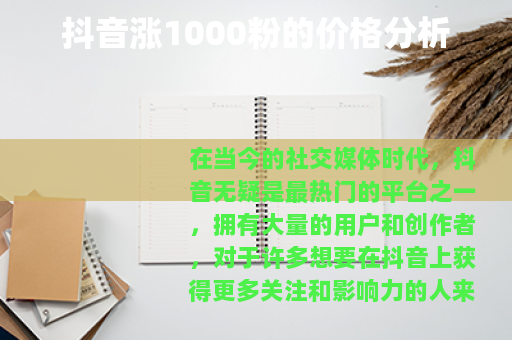 抖音涨1000粉的价格分析