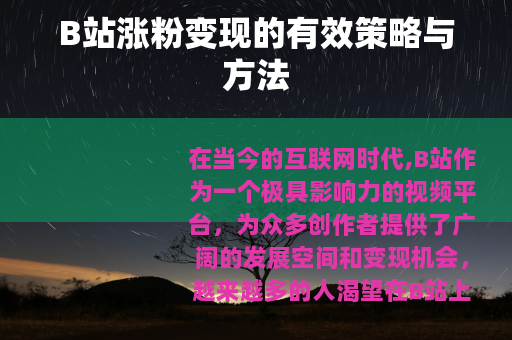 B站涨粉变现的有效策略与方法