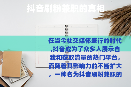 抖音刷粉兼职的真相