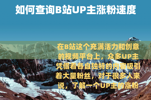 如何查询B站UP主涨粉速度
