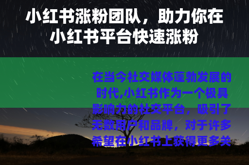 小红书涨粉团队，助力你在小红书平台快速涨粉