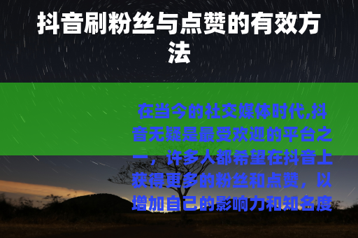 抖音刷粉丝与点赞的有效方法