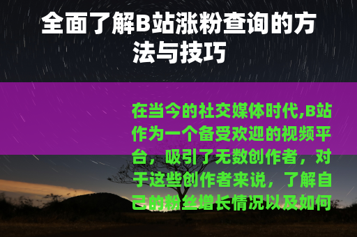 全面了解B站涨粉查询的方法与技巧