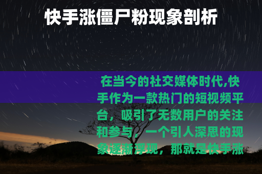 快手涨僵尸粉现象剖析