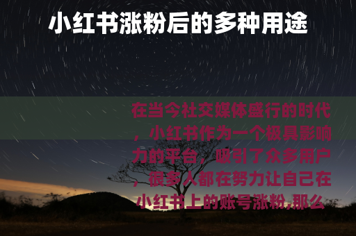 小红书涨粉后的多种用途